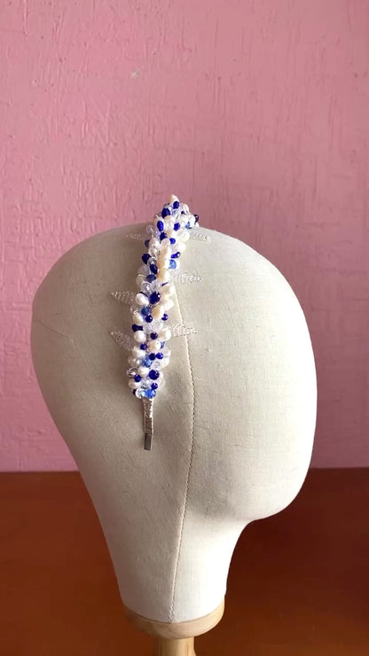 Diadema mixta